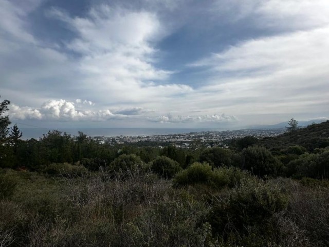 Girne ciglos bölgesi satılık arsa