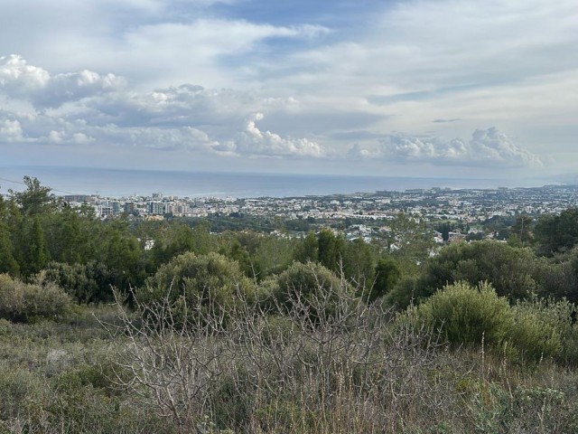 Girne ciglos bölgesi satılık arsa