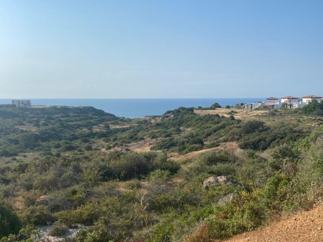 Mağusa/Tatlısu’da satılık 5000m2 arazi