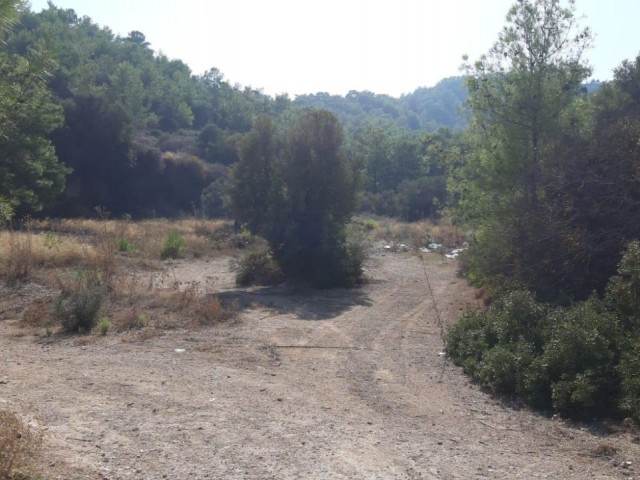 Girne/Karşıyakada satılık 15,650m2 arazi