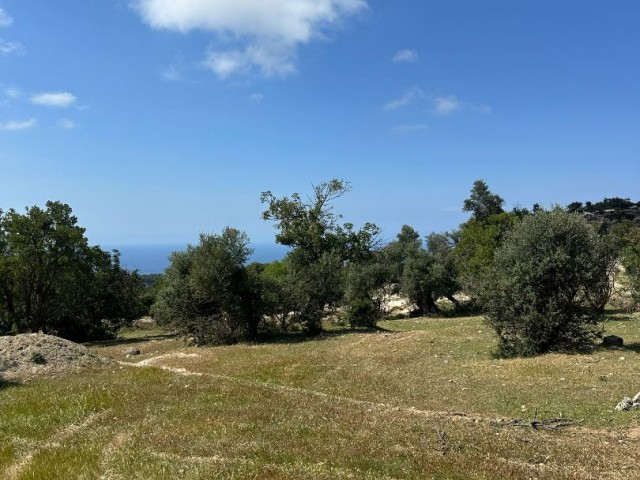 Muhteşem deniz manzaralı arazi
