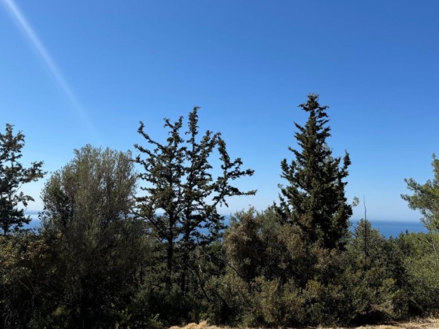 Girne karaagaçta satılık önü kesilmez deniz manzaralı arazi