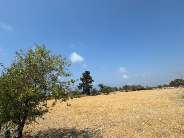 Girne Karaağaç’ta satılık kat karşılığı arazi