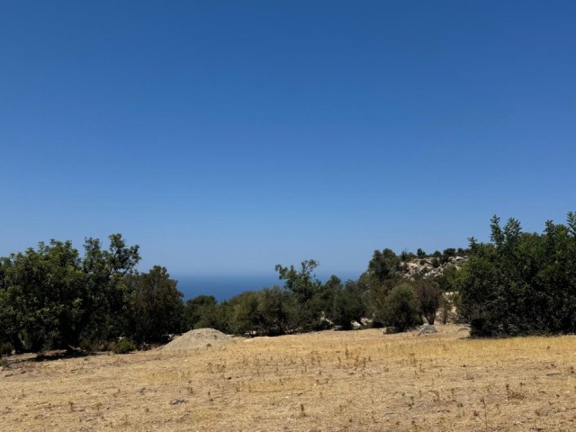 Girne karaağaç’ta kat karşılığı satılık arazi