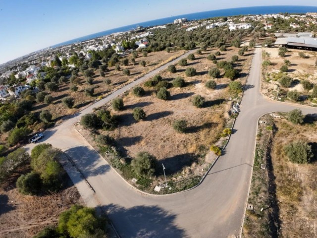 Girne Ozanköy’de satılık arsalar