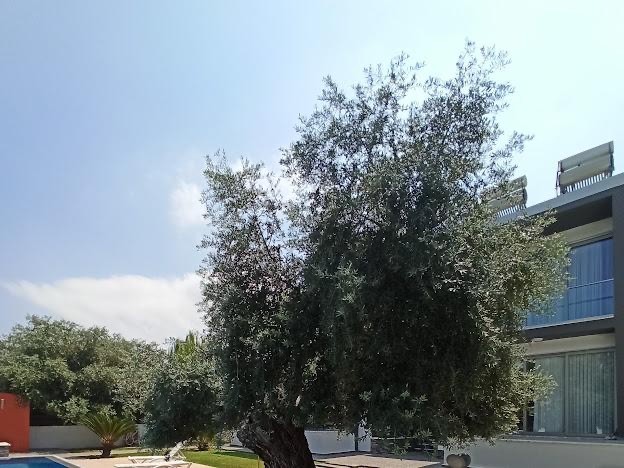 2+1 kiralik daire, Girne, Ozankoy