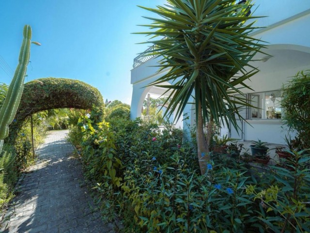 Zeytinlik bölgesinde 3+1 satılık villa