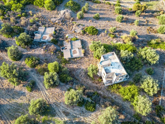 Girne Zeytinlik 3168m2 Satılık Arsa