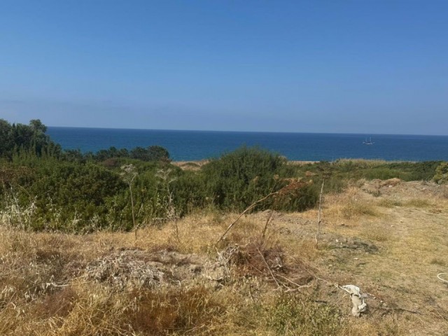 Girne/Alsancak’ta satılık 1403m2 arsa