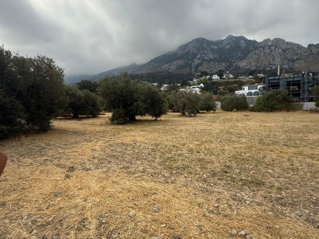 GİRNE KARŞIYAKA 1840 M2 GEÇİT İZİNLİ ARSA
