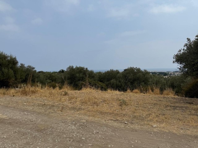 GİRNE KARŞIYAKA 1840 M2 GEÇİT İZİNLİ ARSA