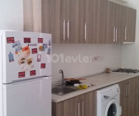 LEFKOŞA/TASKİNKOY KİRALIK EŞYALI 1+1 DAİRE
