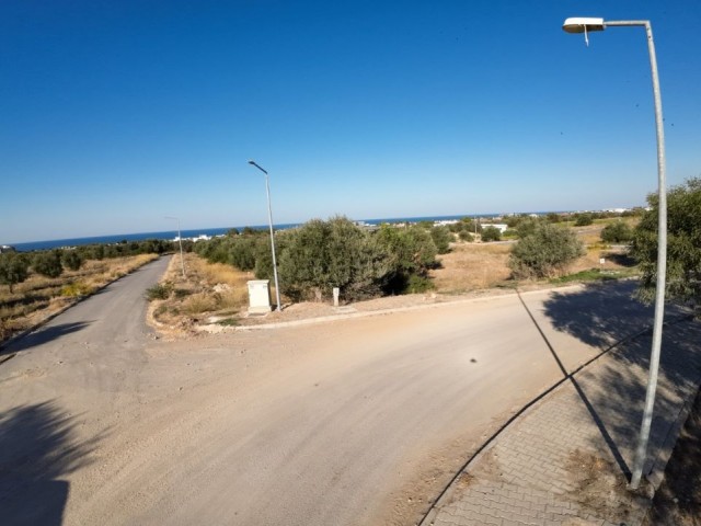 Girne, Ozanköy bölgesinde satılık Türk malı ve Eşdeğer arsalar - Fotoğraf 3