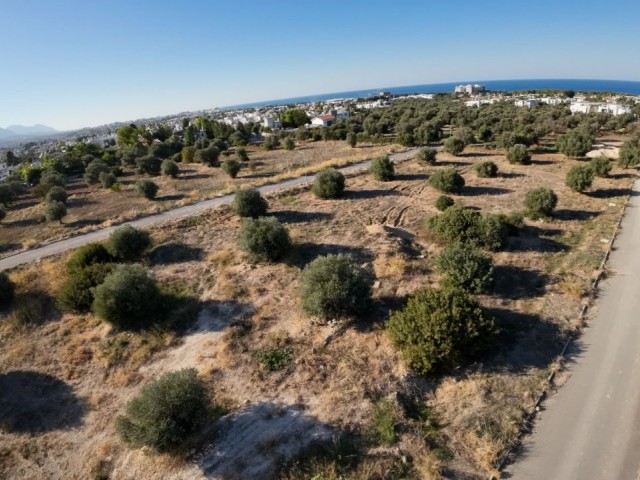 Girne, Ozanköy bölgesinde satılık Türk malı ve Eşdeğer arsalar - Fotoğraf 4