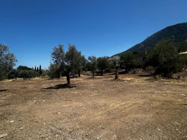 Girne/Lapta’da satılık 1600m2 arsa