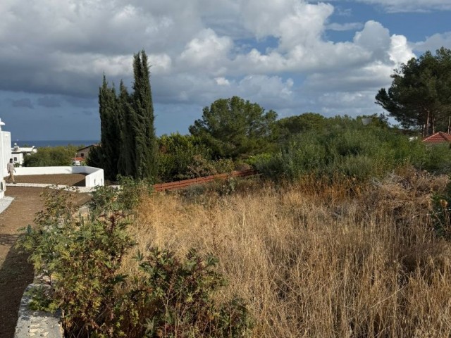 Alsancak Doğa parkı bölgesinde  Eşdeğer koçanlı  satılık 1900m2 arsa 