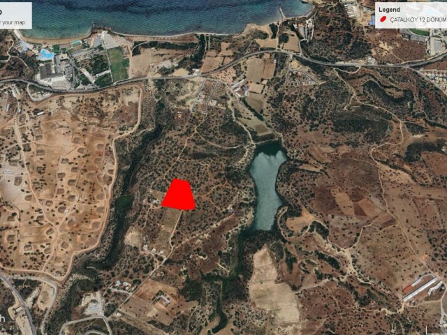 ÇATALKÖY DE NET DENİZ MANZARALI SATILIK 12 DÖNÜM 1 EVLEK ARAZİ  DÖNÜM FİYATI 100,000 GBP ADEM AKIN 05338314949