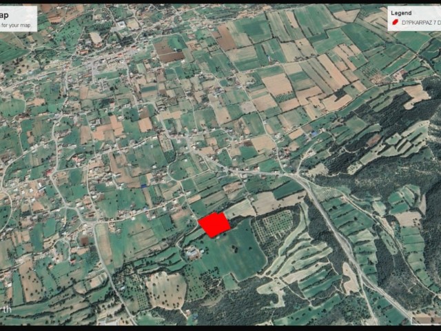 Dipkarpaz da Köy İçinde Hariha Manzarası İle Satılık 7 Dönüm Arazi Dönüm Fiyatı 35.000 GBP Adem Akın 05338314949 - Fotoğraf 1
