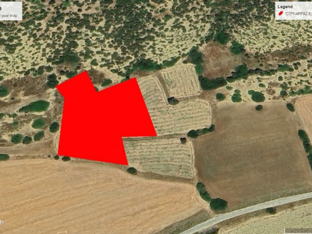 DİPKARPAZ DA HARİKA DENİZ MANZARALI KELEPİR FİYATA SATILIK 5 DÖNÜM 1 EVLEK ARAZİ DÖNÜM FİYATI 9,500 GBP TOPLAM 50,000 GBP ADEM AKIN 05338314949