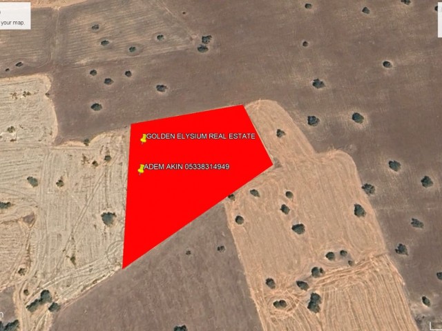 KİLİTKAYA DE YATIRIMLIK KELEPİR FİYATA SATILIK 3 DÖNÜM 1 EVLEK ARAZİ TOPLAM FİYATI 81,250 GBP ADEM AKIN 05338314949