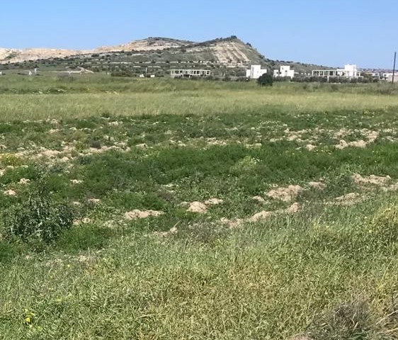 Boğaz da ve Sefa Köy Arasın da Villa Yapımına Uygun %50 İmarlı Satılık 629 N2 Satılık Arsa Toplam Fiyatı 110,000 GBP Adem Akın 05338314949 - Fotoğraf 3