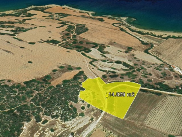 DİPKARPAZ DA NET DENİZ MANZARALI YAIRIMLIK 11 DÖNÜM SATILIK ARAZİ DÖNÜM FİYATI 15,000 GBP ADEM AKIN 05338314949