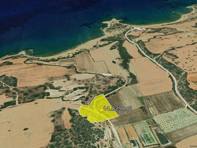 DİPKARPAZ DA NET DENİZ MANZARALI YAIRIMLIK 11 DÖNÜM SATILIK ARAZİ DÖNÜM FİYATI 15,000 GBP ADEM AKIN 05338314949