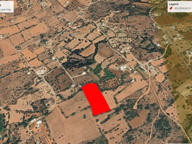 YENİERENKÖYDE DAĞ VE DENİZ MANZARALI HARİKA KONUMDA KELEPİR FİYATA SATILIK  7 DÖNÜM 1 EVELEK ARAZİ DÖNÜM FİYATI 45,000 GBP ADEM AKIN 05338314949