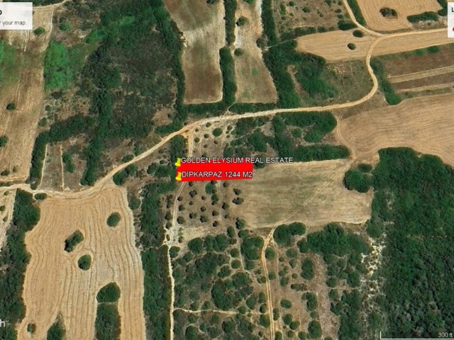 NOT:  TOPLAM FİYATI : 30,000 GBP: DPKARPAZ DA DENİZ MANZARALI 1244 M2 KONTEYNER VEYA ORMAN EVİ YAPMAYA MÜSAİT SATILIK ARAZİ ADEM AKIN 05338314949