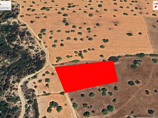 Tatlısu da En Çok Talep Olan Bölgede Kelepir Fiyata Satılık 3 Dönüm Arazi Net Deniz Manzaralı Resmi Yolu Mevcut %35 İmarlı Dönüm Fiyatı 100,000 GBP Adem Akın 05338314949 - Fotoğraf 1