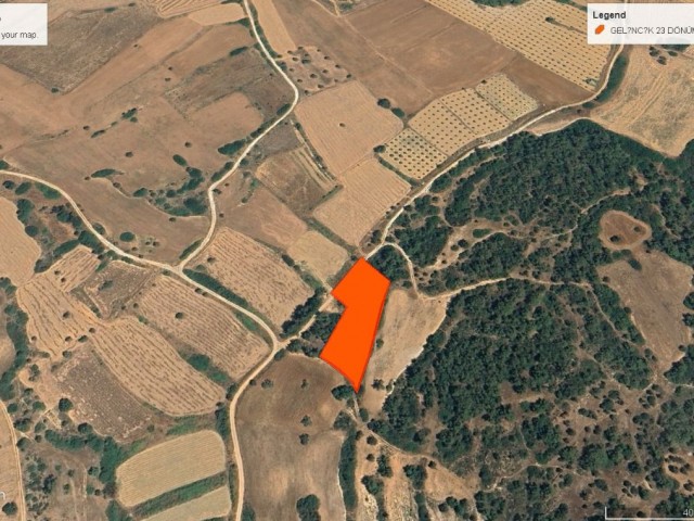 Gelincik de Yatırımlık Sattılık 2,5 Dönüm Arazi Dönüm Fiyatı 8,000 GBP Adem Akın 05338314949 - Fotoğraf 1