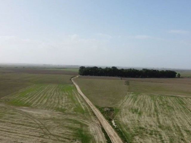 NOT : DÖNÜM FİYATI 15,000  GBP : NERGİSLİ DE KELEPİR FİYATA YATIRIMLIK 8 DÖNÜM EŞDEĞER KOÇANLI SATILIK ARAZİ ADEM AKIN 05338314949