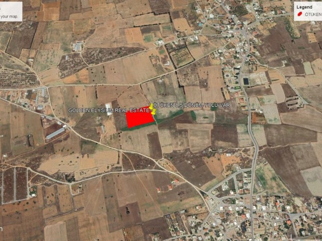 NOT: DÖNÜM FİYATI 43,750 GBP : ÖTÜKEN DE YATIRIMLI KELPİR FİYATA SATILIK 8 DÖNÜM ARAZİ ADEM AKIN 05338314949
