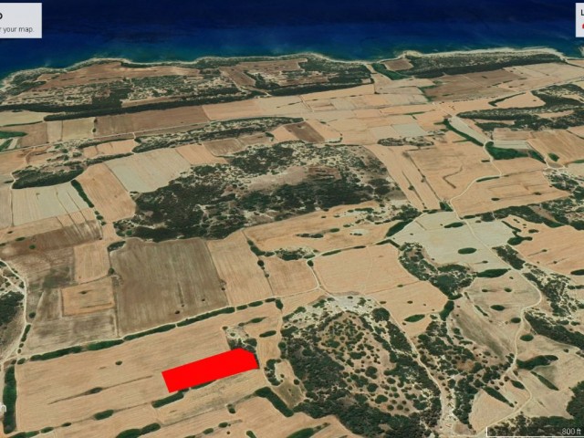 DİPKARPAZ DA KELEPİR FİYATA YATIRIMLIK 5 DÖNÜM 2 EVLEK ARAZİ DÖNÜM FİYATI 14,500 GBP ADEM AKIN 05338314949