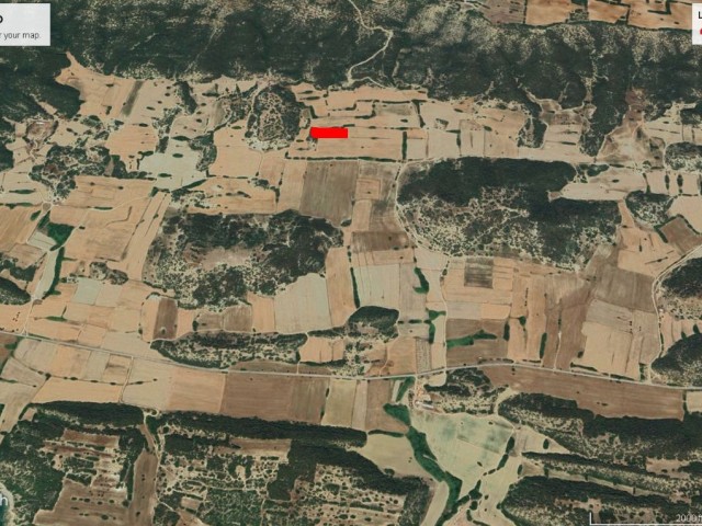 DİPKARPAZ DA KELEPİR FİYATA YATIRIMLIK 5 DÖNÜM 2 EVLEK ARAZİ DÖNÜM FİYATI 14,500 GBP ADEM AKIN 05338314949