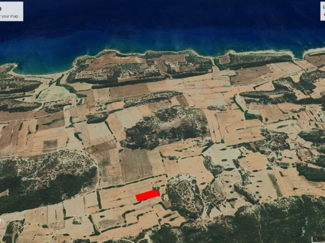 DİPKARPAZ DA KELEPİR FİYATA YATIRIMLIK 5 DÖNÜM 2 EVLEK ARAZİ DÖNÜM FİYATI 14,500 GBP ADEM AKIN 05338314949