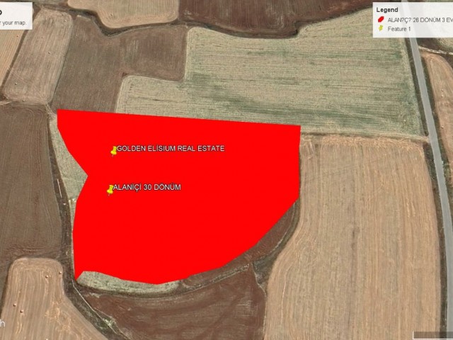 ALANİÇİ NDE KELEPİR FİYATA SATILIK 30 DÖNÜM EŞDEĞER KOÇANLIK YATIRIMLIK ARAZİ DÖNÜM FİYATI7,000 GBP TEKLİFLERE AÇIKĞIZ ADEM AKIN 05338314949