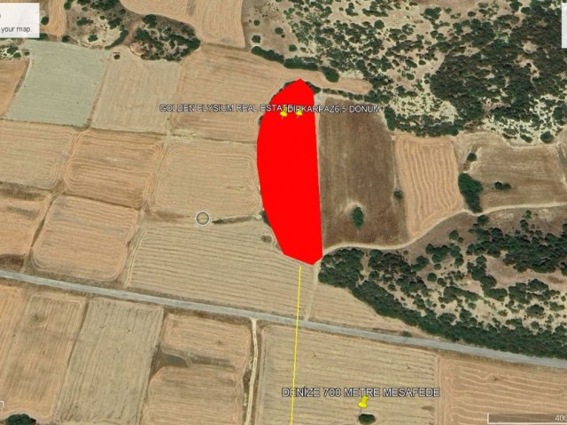 Not: Dönüm Fiyatı 12,000 GBP: Dipkarpazda Neize 700 Metre Mesafede ve Ana Yola 50 Metre Mesafede Satılık 6,5 Dönüm Arazi Adem Akın 05338314949 - Fotoğraf 2
