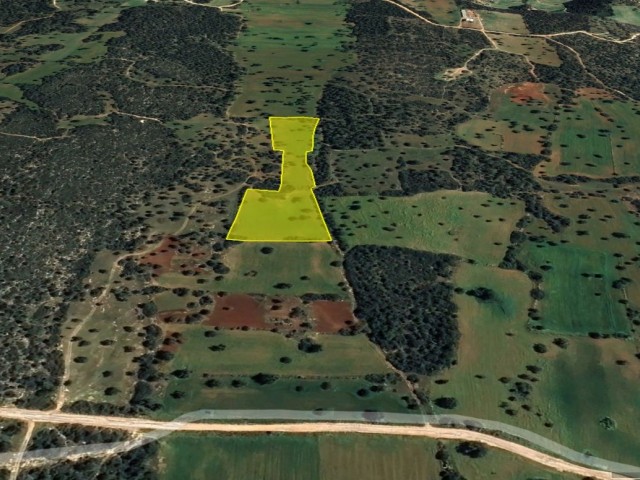 BOLTAŞLI DA DENİZ MANZARALI SÜPER KONUMDA YATIRIMLIK 11 DÖNÜM EŞDEĞER KOÇANLI SATILIK ARAZİ  DÖNÜM FİYATI 20,000 GBPADEM AKIN 05338314949