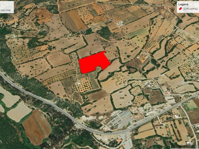 Dipkarpaz da Köy ve Deniz Arasın da Deniz Manzaralı Kelepir Fiyata Satılık 16,5 Dönüm Arazi Dönüm Fiyatı 12,000 GBP Adem Akın 053383149849 - Fotoğraf 2