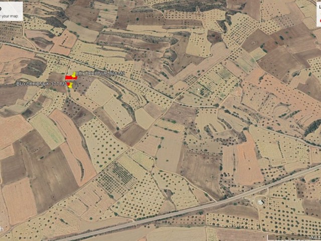 NOT: DÖNÜM FİYATI: 32,000 GBP: BÜYÜKKONUK DA YATIRIMLIK KÜÇÜK PARÇA ARSA ARAYANLAR İÇİN İDAAL BİR FIRSAT TOPLAM 1195 M2 VE YAKLAŞIK 700 M2 KKTC HALİ ARSASI TAM ORTA KISMIN DA KAÇIRILMAYACAK FIRSAT ADEM AKIN 05338314949