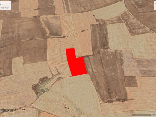 NERGİSLİ DE YATIRIMLIK SATILIK 4 DÖNÜM ARAZİ ADEM AKIN05338314949