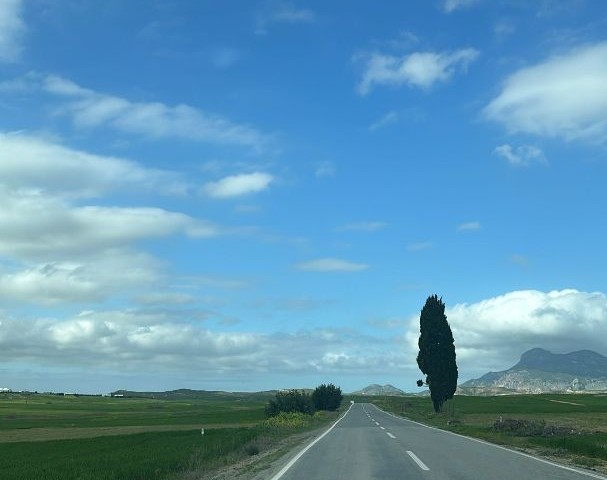 Lefkoşa, Yılmaz köyde satılık arsa - Fotoğraf 1