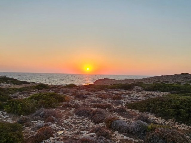 Mağusa, Tatlısuda satılık 1+1 daire - Fotoğraf 4