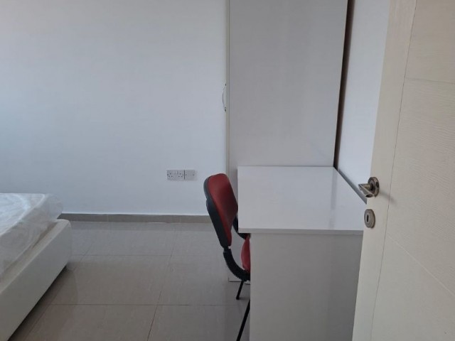 Turk Kocanlı Satılık Daıre - Fotoğraf 3