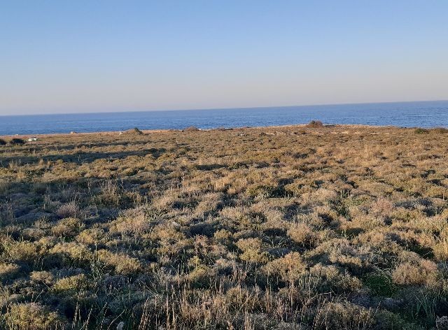 GİRNE,KARŞIYAKA'da denize SIFIR 19.5 dönüm YATIRIMLIK ARAZİ- KAHVERENGİ imar bölgesi ,hem KONUT hem de HOTEL amaçlı imara açıktır. Doğan BORANSEL : 0533-8671911 - Fotoğraf 4