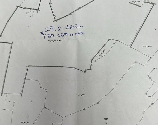 kıbrıs  iskelede  satılık  29 dönüm arazi imara  açık