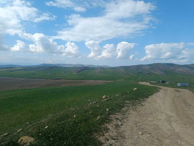 Girne Dağyolu 21420m² Satılık Arazi - Fotoğraf 2