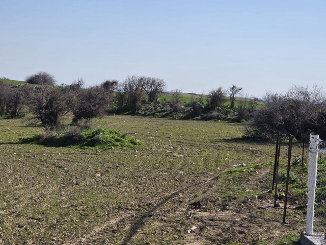 Girne Pınarbaşı'nda %5 Kullanım Alanına Sahip Türk Malı Satılık Arsa !! - Fotoğraf 1