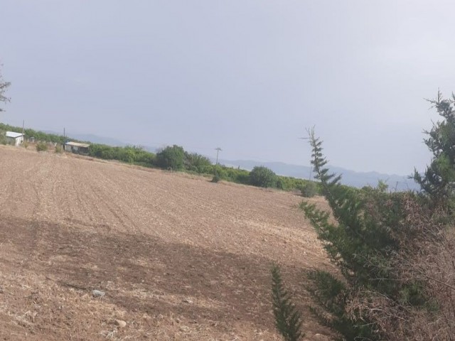 GÜZELYURT LEFKE ANAYOLUNDA SATILIK YATIRIMLIK ARSA !!